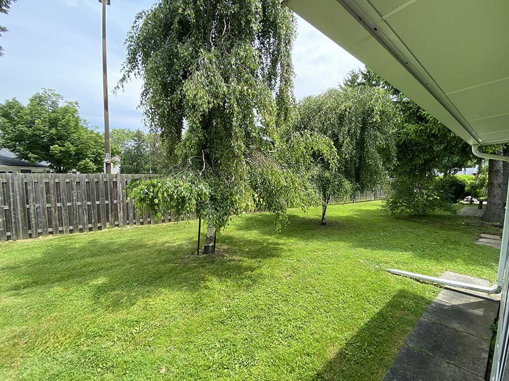 8-Szollosy-Backyard-1